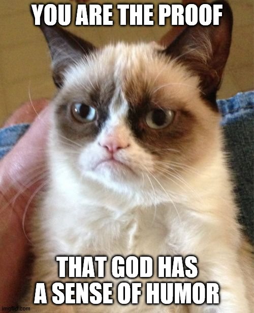 Grumpy Cat You are the proof | YOU ARE THE PROOF; THAT GOD HAS A SENSE OF HUMOR | image tagged in memes,grumpy cat | made w/ Imgflip meme maker
