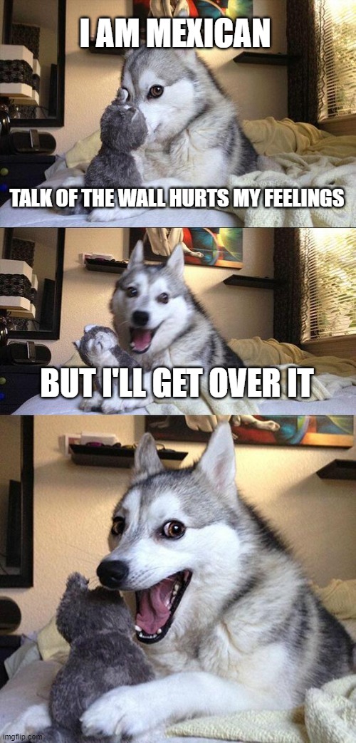 Bad Pun Dog Meme | I AM MEXICAN TALK OF THE WALL HURTS MY FEELINGS BUT I'LL GET OVER IT | image tagged in memes,bad pun dog | made w/ Imgflip meme maker