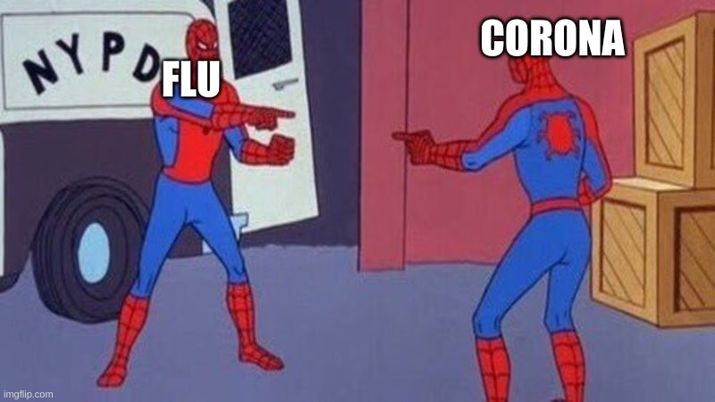 Who has the blame? | FLU; CORONA | image tagged in spiderman pointing at spiderman | made w/ Imgflip meme maker