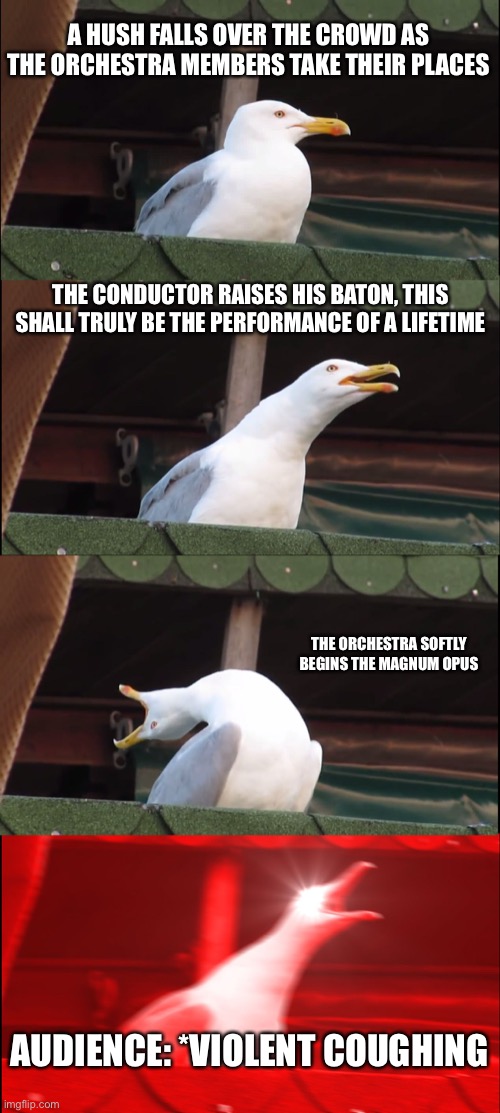 Every time | A HUSH FALLS OVER THE CROWD AS THE ORCHESTRA MEMBERS TAKE THEIR PLACES; THE CONDUCTOR RAISES HIS BATON, THIS SHALL TRULY BE THE PERFORMANCE OF A LIFETIME; THE ORCHESTRA SOFTLY BEGINS THE MAGNUM OPUS; AUDIENCE: *VIOLENT COUGHING | image tagged in memes,inhaling seagull | made w/ Imgflip meme maker