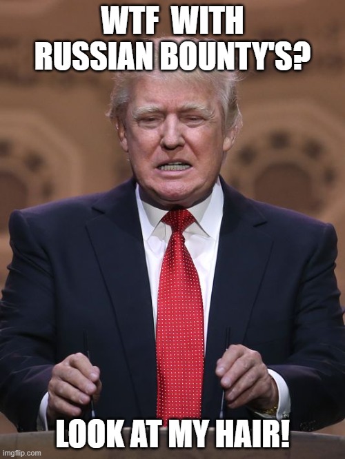 Donald Trump | WTF  WITH RUSSIAN BOUNTY'S? LOOK AT MY HAIR! | image tagged in donald trump | made w/ Imgflip meme maker