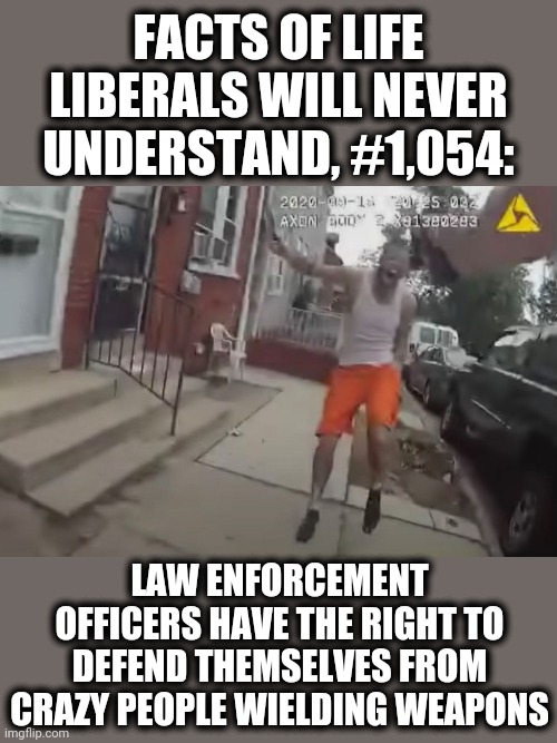 Part of our continuing series | FACTS OF LIFE LIBERALS WILL NEVER UNDERSTAND, #1,054:; LAW ENFORCEMENT OFFICERS HAVE THE RIGHT TO DEFEND THEMSELVES FROM CRAZY PEOPLE WIELDING WEAPONS | image tagged in memes,stupid liberals,blm,police,self defense,crazy people | made w/ Imgflip meme maker