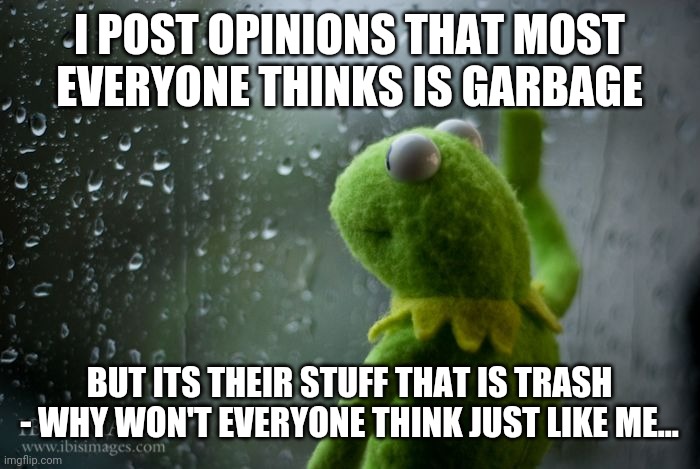 kermit window | I POST OPINIONS THAT MOST EVERYONE THINKS IS GARBAGE BUT ITS THEIR STUFF THAT IS TRASH - WHY WON'T EVERYONE THINK JUST LIKE ME... | image tagged in kermit window | made w/ Imgflip meme maker