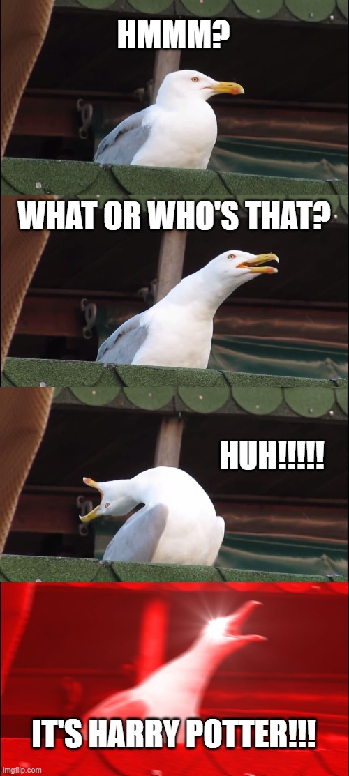 Seagull | HMMM? WHAT OR WHO'S THAT? HUH!!!!! IT'S HARRY POTTER!!! | image tagged in memes,inhaling seagull | made w/ Imgflip meme maker