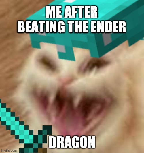 cat minecraft | ME AFTER BEATING THE ENDER; DRAGON | image tagged in cat | made w/ Imgflip meme maker