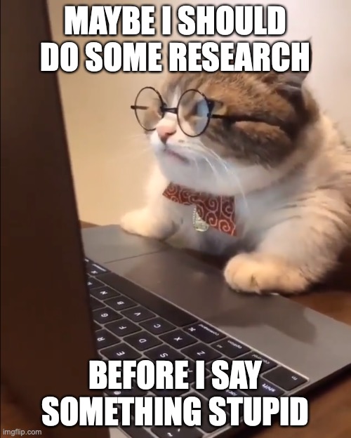 Do some research |  MAYBE I SHOULD DO SOME RESEARCH; BEFORE I SAY SOMETHING STUPID | image tagged in research cat | made w/ Imgflip meme maker
