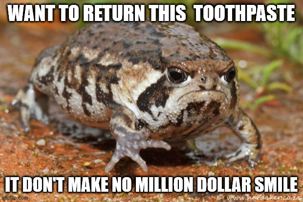 Grumpy Toad Meme | WANT TO RETURN THIS  TOOTHPASTE; IT DON'T MAKE NO MILLION DOLLAR SMILE | image tagged in memes,grumpy toad | made w/ Imgflip meme maker