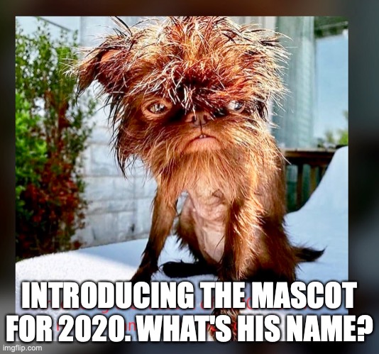 2020 Mascot Dog | INTRODUCING THE MASCOT FOR 2020. WHAT'S HIS NAME? | image tagged in 2020 sucks | made w/ Imgflip meme maker