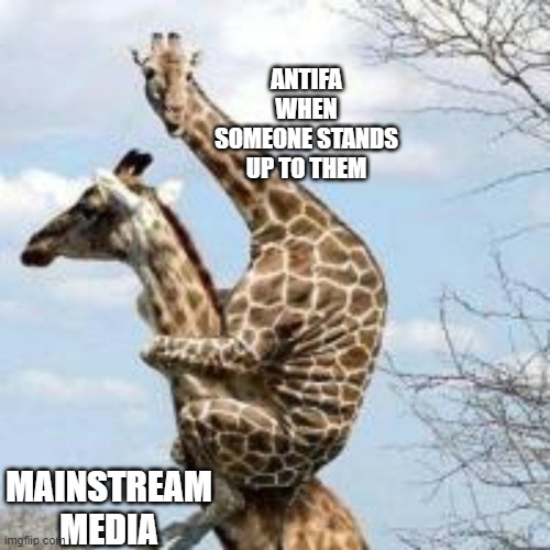 scared giraffe | ANTIFA WHEN SOMEONE STANDS UP TO THEM; MAINSTREAM MEDIA | image tagged in scared giraffe,memes,antifa,cowards | made w/ Imgflip meme maker