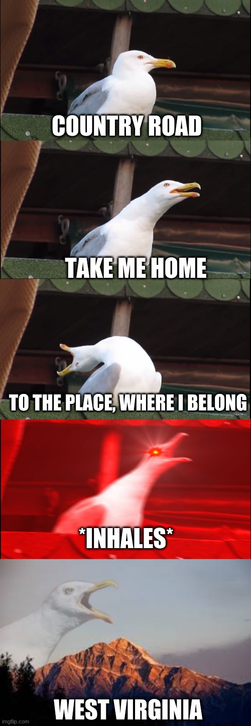 sInG | COUNTRY ROAD; TAKE ME HOME; TO THE PLACE, WHERE I BELONG; *INHALES*; WEST VIRGINIA | image tagged in memes,inhaling seagull | made w/ Imgflip meme maker