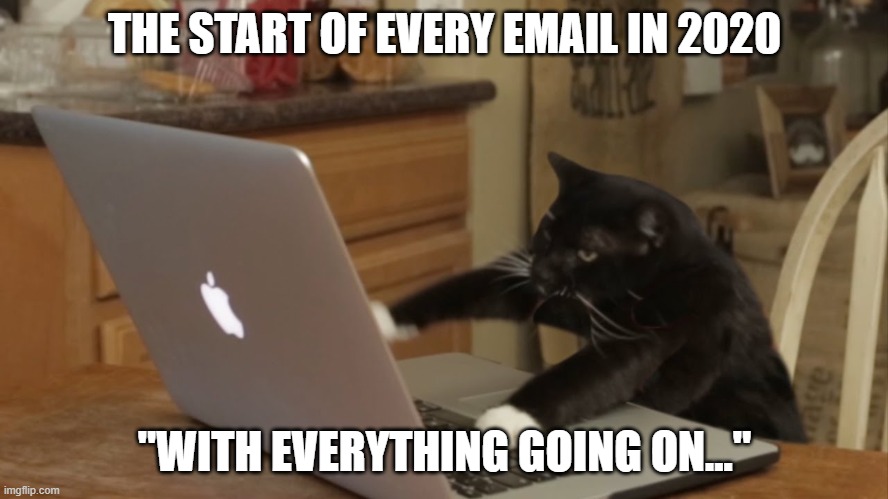 Furiously Typing Cat | THE START OF EVERY EMAIL IN 2020; "WITH EVERYTHING GOING ON..." | image tagged in furiously typing cat | made w/ Imgflip meme maker