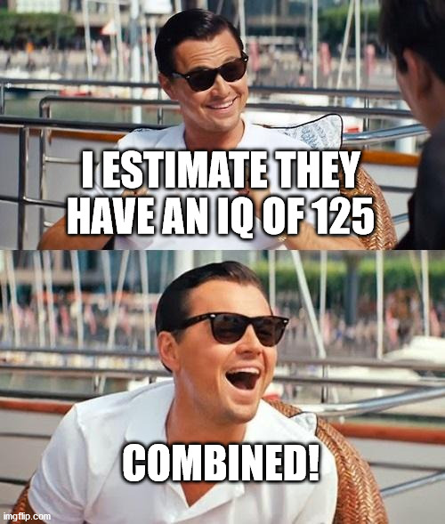 Leonardo Dicaprio Wolf Of Wall Street Meme | I ESTIMATE THEY HAVE AN IQ OF 125 COMBINED! | image tagged in memes,leonardo dicaprio wolf of wall street | made w/ Imgflip meme maker