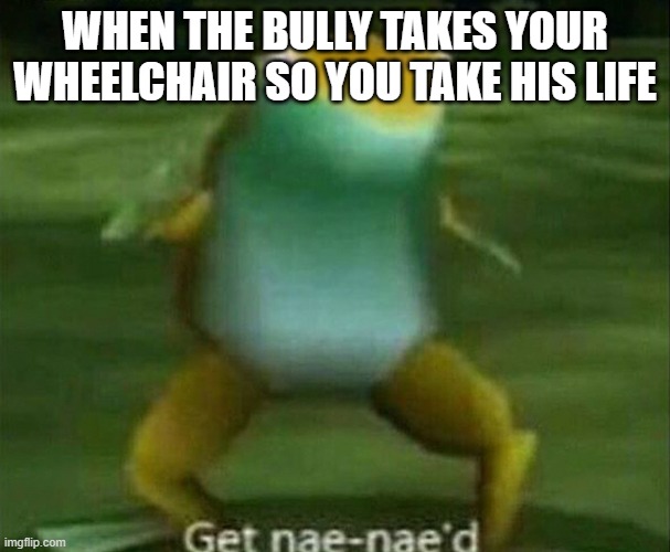 get nae nae'd | WHEN THE BULLY TAKES YOUR WHEELCHAIR SO YOU TAKE HIS LIFE | image tagged in get nae-nae'd | made w/ Imgflip meme maker