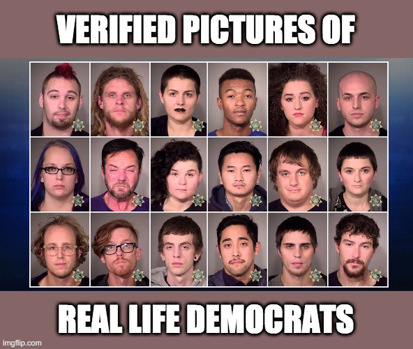 VERIFIED PICTURES OF REAL LIFE DEMOCRATS | made w/ Imgflip meme maker