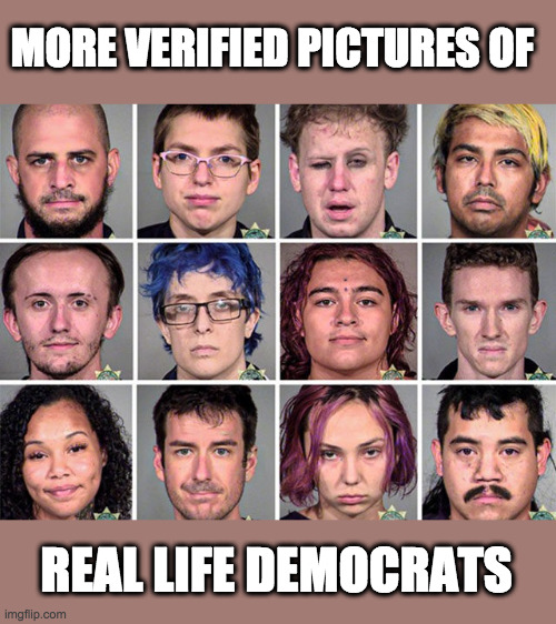 MORE VERIFIED PICTURES OF REAL LIFE DEMOCRATS | made w/ Imgflip meme maker