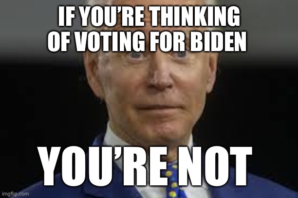 Think about it! | IF YOU’RE THINKING OF VOTING FOR BIDEN; YOU’RE NOT | image tagged in really,biden,loser,democrat | made w/ Imgflip meme maker