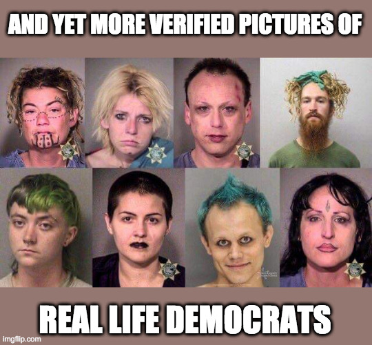 AND YET MORE VERIFIED PICTURES OF REAL LIFE DEMOCRATS | made w/ Imgflip meme maker