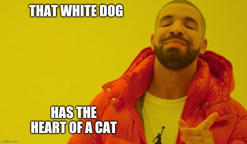 THAT WHITE DOG HAS THE HEART OF A CAT | made w/ Imgflip meme maker