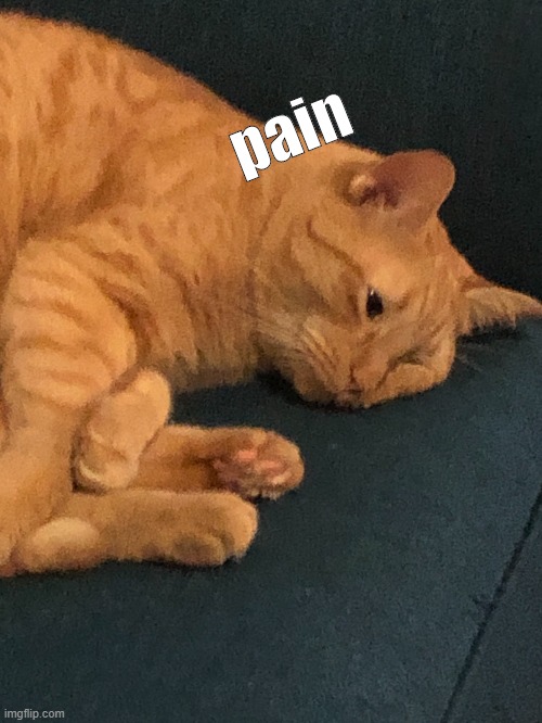 pain | made w/ Imgflip meme maker