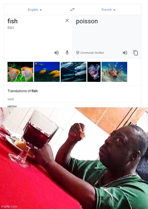 umm | image tagged in summer,fish,french,ye olde englishman,poison | made w/ Imgflip meme maker