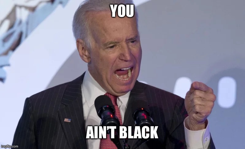 Joe Biden | YOU AIN’T BLACK | image tagged in joe biden | made w/ Imgflip meme maker