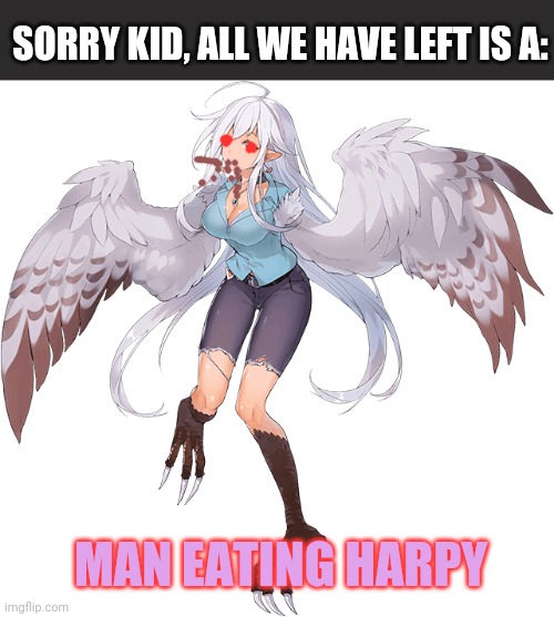 SORRY KID, ALL WE HAVE LEFT IS A: MAN EATING HARPY | made w/ Imgflip meme maker
