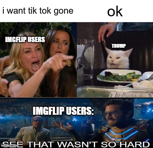 tik tok is gone | i want tik tok gone; ok; IMGFLIP USERS; TRUMP; IMGFLIP USERS: | image tagged in memes,woman yelling at cat | made w/ Imgflip meme maker