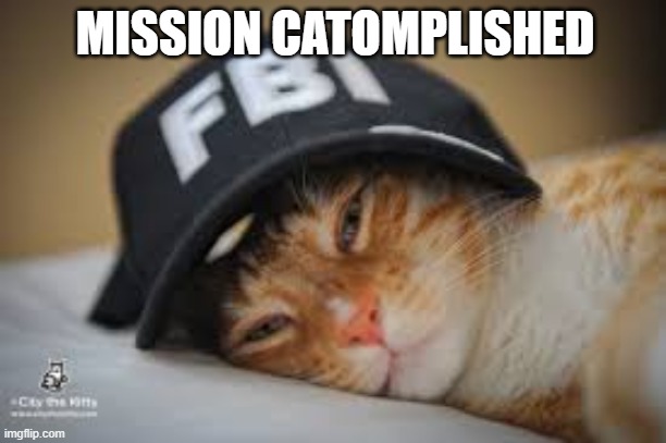 fbi cat | MISSION CATOMPLISHED | image tagged in fun | made w/ Imgflip meme maker