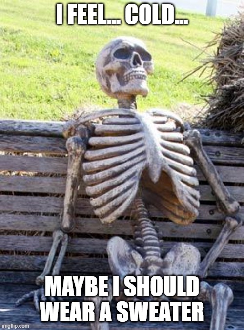 Waiting Skeleton Meme | I FEEL... COLD... MAYBE I SHOULD WEAR A SWEATER | image tagged in memes,waiting skeleton | made w/ Imgflip meme maker