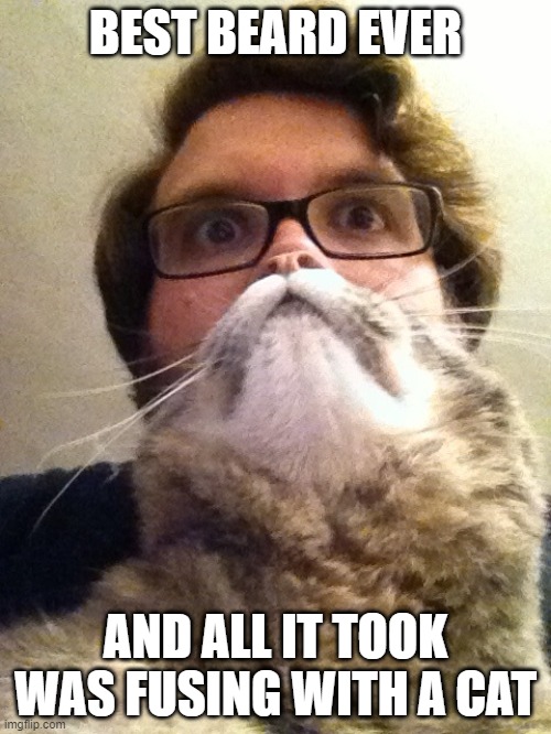 Surprised CatMan Meme | BEST BEARD EVER; AND ALL IT TOOK WAS FUSING WITH A CAT | image tagged in memes,surprised catman | made w/ Imgflip meme maker