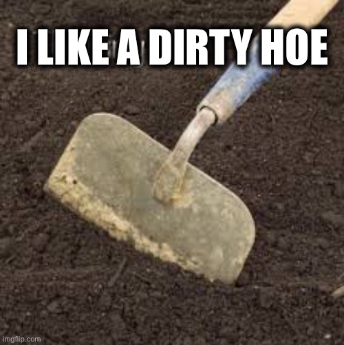 I LIKE A DIRTY HOE | made w/ Imgflip meme maker