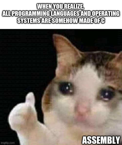 ya sure dude? | WHEN YOU REALIZE, 
ALL PROGRAMMING LANGUAGES AND OPERATING SYSTEMS ARE SOMEHOW MADE OF C; ASSEMBLY | image tagged in sad thumbs up cat,programming,assembly,c | made w/ Imgflip meme maker
