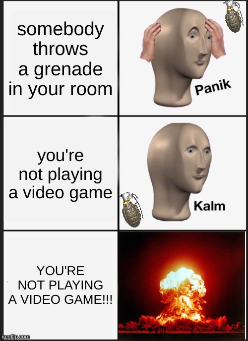 panik | somebody throws a grenade in your room; you're not playing a video game; YOU'RE NOT PLAYING A VIDEO GAME!!! | image tagged in memes,panik kalm panik | made w/ Imgflip meme maker