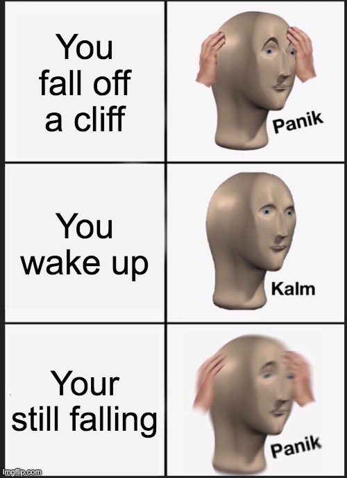 Freefallll Freefallll | You fall off a cliff; You wake up; Your still falling | image tagged in memes,panik kalm panik | made w/ Imgflip meme maker