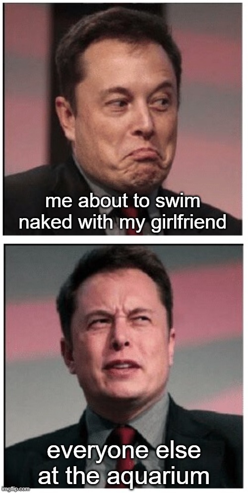 Free Spirit and Felon | me about to swim naked with my girlfriend; everyone else at the aquarium | image tagged in elon musk aquarium | made w/ Imgflip meme maker
