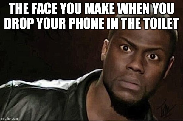 when you drop your phone in the toilet | THE FACE YOU MAKE WHEN YOU DROP YOUR PHONE IN THE TOILET | image tagged in memes,kevin hart | made w/ Imgflip meme maker