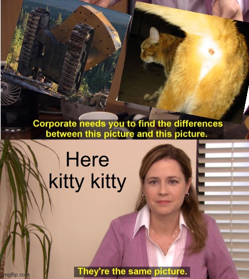 Very similar anyway | Here kitty kitty | image tagged in memes,they're the same picture,caterpillar,cat butt,same,bend over | made w/ Imgflip meme maker
