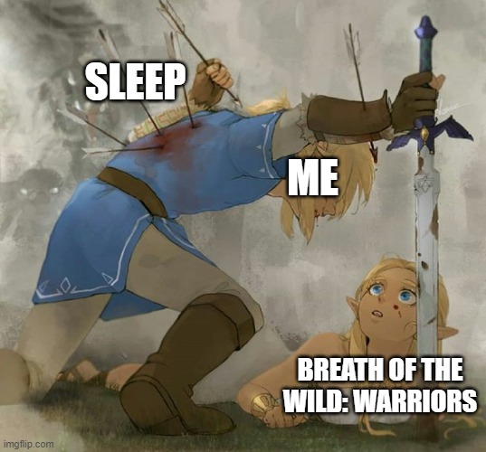 I want that game right now!! | SLEEP; ME; BREATH OF THE WILD: WARRIORS | image tagged in link and zelda | made w/ Imgflip meme maker