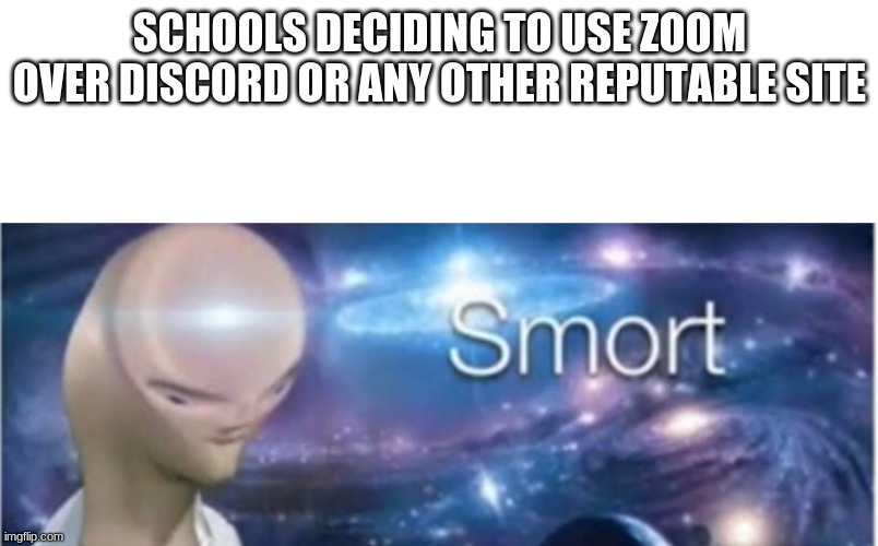 SCHOOLS DECIDING TO USE ZOOM OVER DISCORD OR ANY OTHER REPUTABLE SITE | image tagged in meme man smort | made w/ Imgflip meme maker