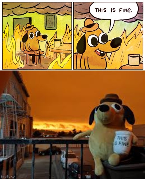 this is totally fine... yea, fine..... | image tagged in memes,this is fine | made w/ Imgflip meme maker