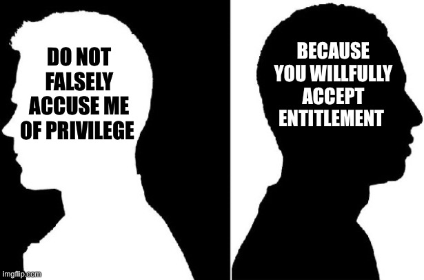 Privilege VS Entitlement | BECAUSE YOU WILLFULLY ACCEPT ENTITLEMENT; DO NOT FALSELY ACCUSE ME OF PRIVILEGE | image tagged in white privilege,black entitlement,black lives matter | made w/ Imgflip meme maker