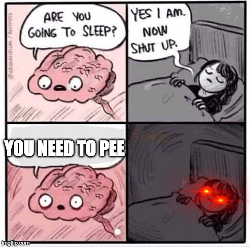 e | YOU NEED TO PEE | image tagged in are you going to sleep,pee,sleep,brain | made w/ Imgflip meme maker
