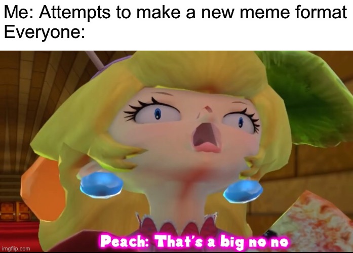 New format anyone? | Me: Attempts to make a new meme format
Everyone: | image tagged in smg4,mario,memes | made w/ Imgflip meme maker