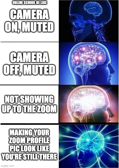 Online School tho | ONLINE SCHOOL BE LIKE; CAMERA ON, MUTED; CAMERA OFF, MUTED; NOT SHOWING UP TO THE ZOOM; MAKING YOUR ZOOM PROFILE PIC LOOK LIKE YOU'RE STILL THERE | image tagged in memes,expanding brain | made w/ Imgflip meme maker