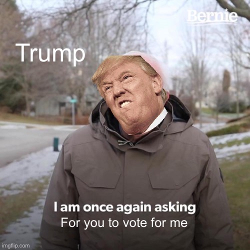 The dumbest meme i have made since i was bored | Trump; For you to vote for me | image tagged in memes,bernie i am once again asking for your support | made w/ Imgflip meme maker