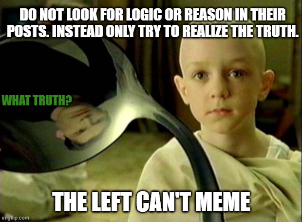 Spoon matrix | DO NOT LOOK FOR LOGIC OR REASON IN THEIR POSTS. INSTEAD ONLY TRY TO REALIZE THE TRUTH. THE LEFT CAN'T MEME WHAT TRUTH? | image tagged in spoon matrix | made w/ Imgflip meme maker