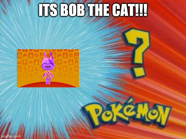 ITS BOB THE CAT YOU IDIOT! | ITS BOB THE CAT!!! | image tagged in who is that pokemon,funny,funny memes | made w/ Imgflip meme maker