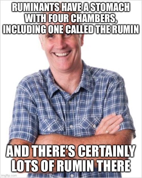 Dad joke | RUMINANTS HAVE A STOMACH WITH FOUR CHAMBERS, INCLUDING ONE CALLED THE RUMIN; AND THERE’S CERTAINLY LOTS OF RUMIN THERE | image tagged in dad joke | made w/ Imgflip meme maker