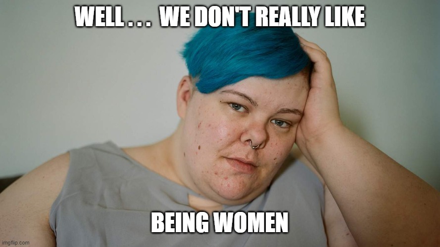 WELL . . .  WE DON'T REALLY LIKE BEING WOMEN | made w/ Imgflip meme maker