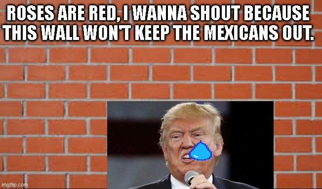 Sad Face... | ROSES ARE RED, I WANNA SHOUT BECAUSE THIS WALL WON'T KEEP THE MEXICANS OUT. | image tagged in donald trump,trump | made w/ Imgflip meme maker